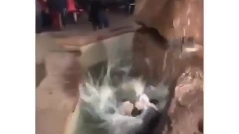 Fountain Fail