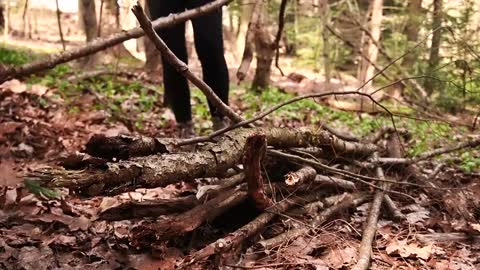 building a PRIMITIVE HOUSE