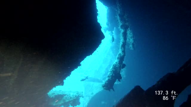 Truk Lagoon SCUBA Amagisan Maru torpedo hole Nov 2019