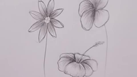 Simple & Easy Technique to Draw Flowers