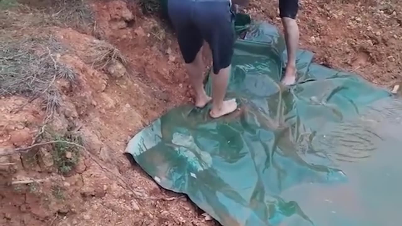 Loading A Lake With Fish 🐠