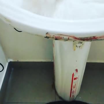 The CUte Caty Waiting to take A Shower