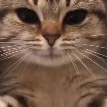 Good morning.come close so I can hug you