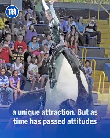 She was about to be released 💔