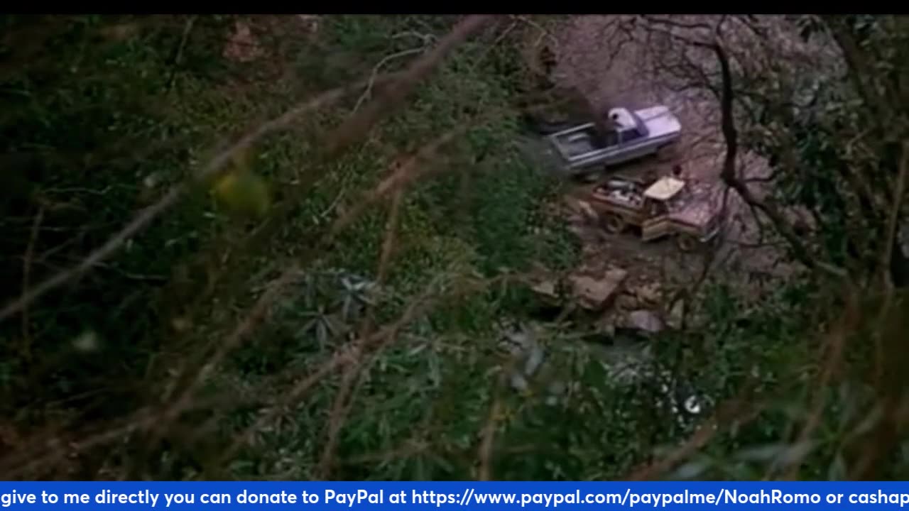 NCR's Creature Feature corner