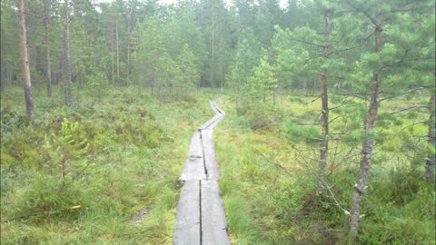 Kun kamoja kassiini pakkaan - Indy Angel