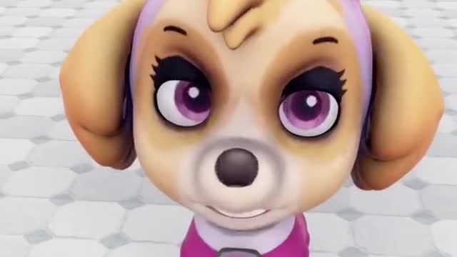 Troll funny video