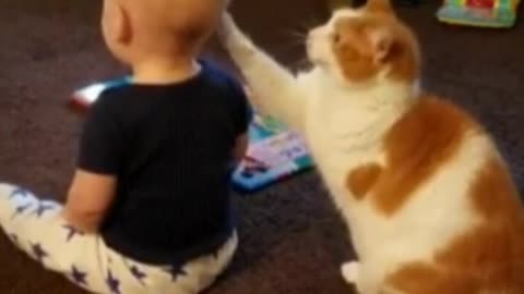 Cute cats who want to be interested in babies