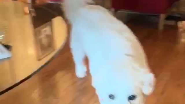 We find ways to get her to exercise