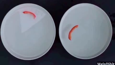 Watch this