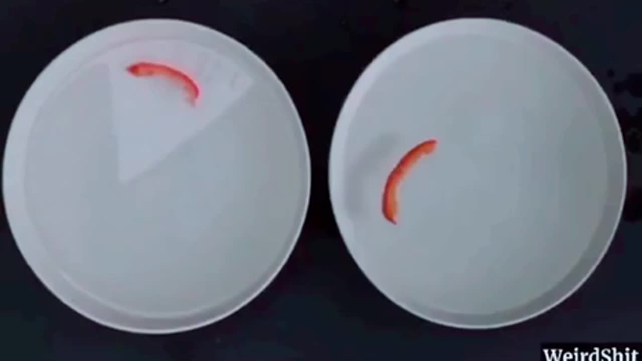 Watch this