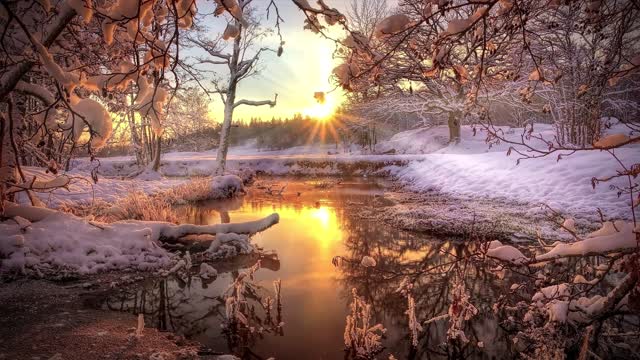 Breathtaking sunrising videos makes environment beautiful