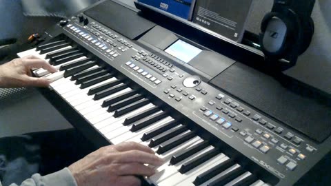 Mein Herz (Beatrice Egli) cover by Henry, Yamaha PSR-SX600