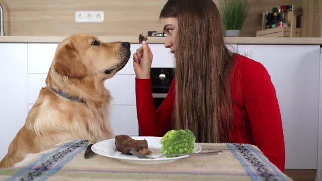 Leaving My Dog Alone With a Tasty Steak...