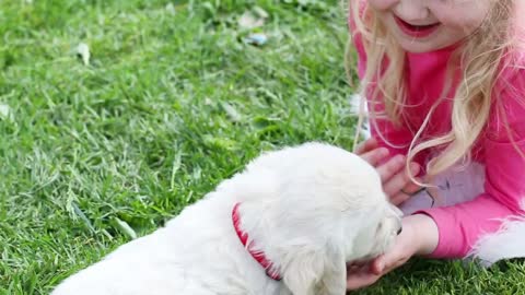 Beautiful little girl playing with a puppy in nature