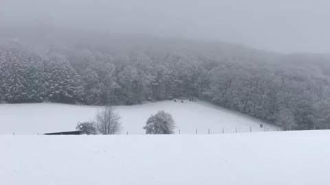 Schnee vor die Tür