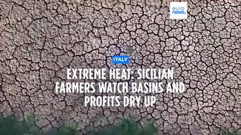 Latest news bulletin | August 2nd – Morning | NE