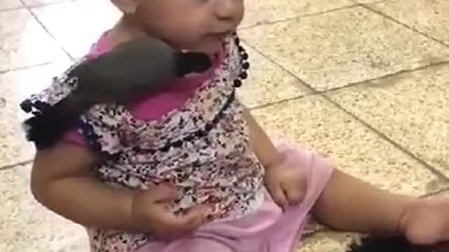 Cute girl play with a bird. Amazing video