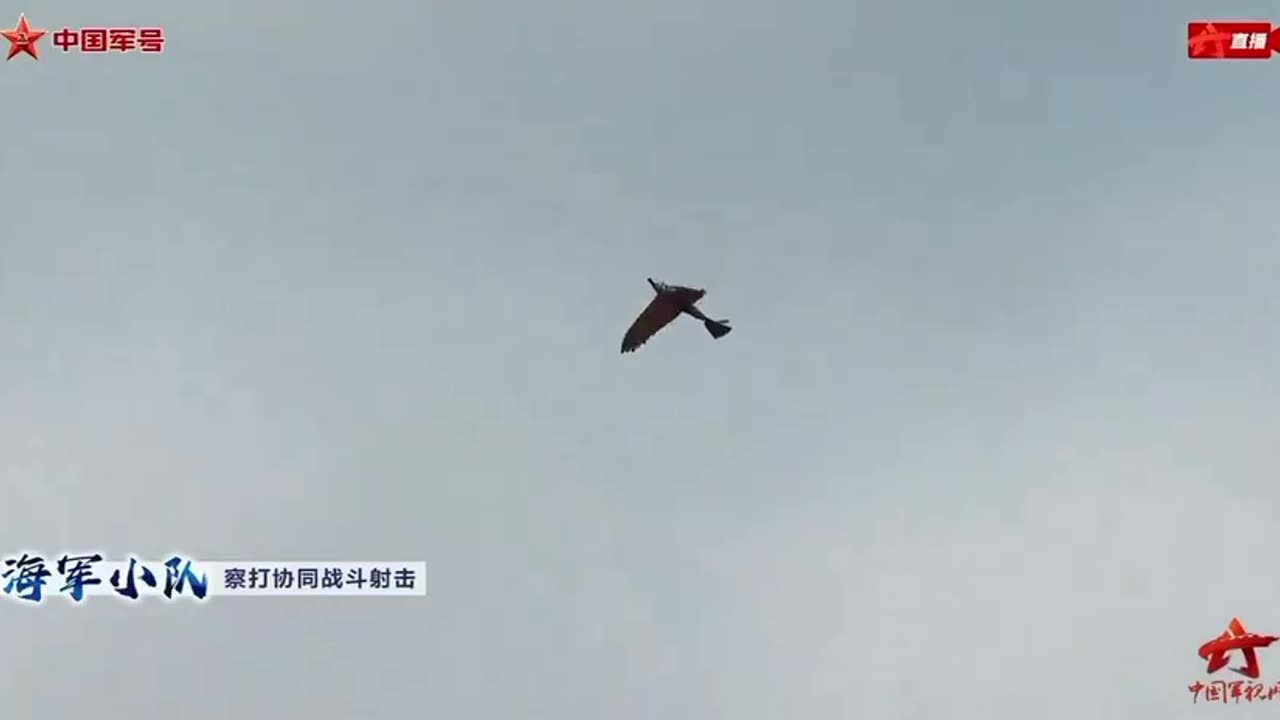 China has revealed a new drone in the shape of a bird