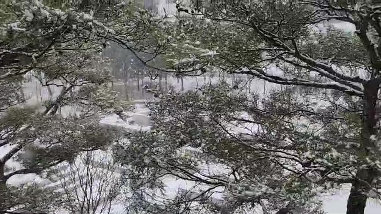 Snowfall in Korea