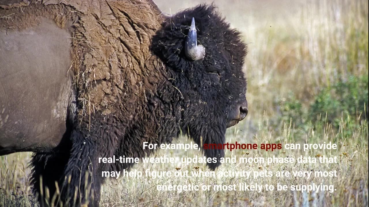 The 9-Second Trick For "The Best Hunting Destinations in the United States"