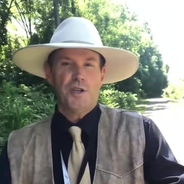 Covid Part 2: Monkey Pox, They're going to Cheat, Again