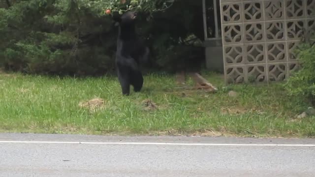 55 Incredible moments caught on camera