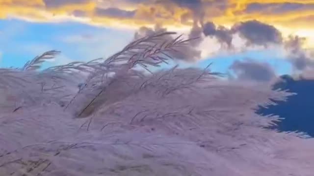 There is no need to say more about the beautiful scenery