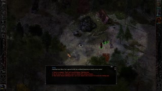 Baldur's Gate 1 - How to get The Suncatcher +2 Medium Shield