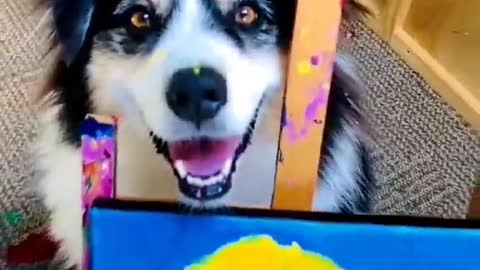 Animals.... Well done from a cute dog....😉😚