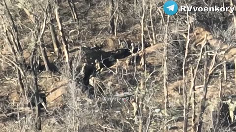 Ukrainian Armed Forces militants executed Russian captured soldier near Rabotino