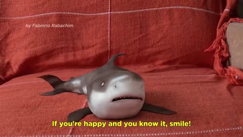 2020 Cutest Baby Shark Happy Shark Funny Shark Cute Baby Animals Reaction