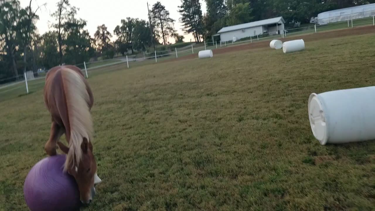 Run em