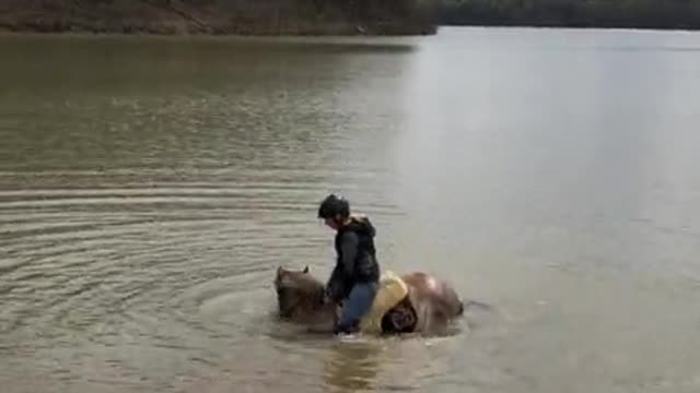 Horse decides to sit in lake during horseback riding session!!