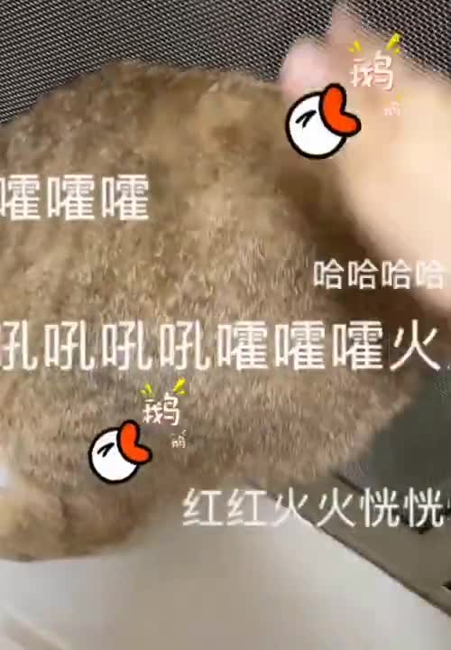 please don't watch or you want to keep it