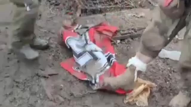 Ну нет Нацистов в Украине