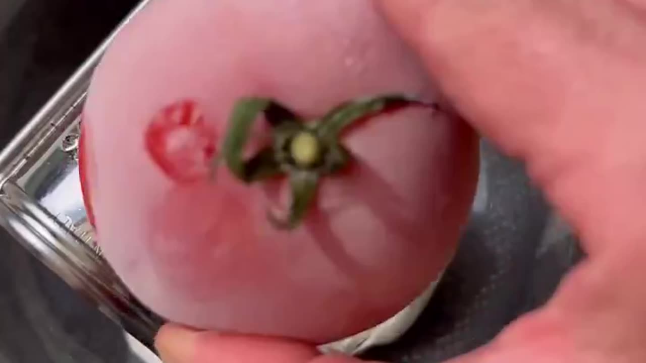 Burrata cheese and tomatoes #foryou #fruit