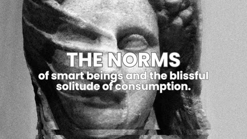 The Norms (and the blissful solitude of consumption)