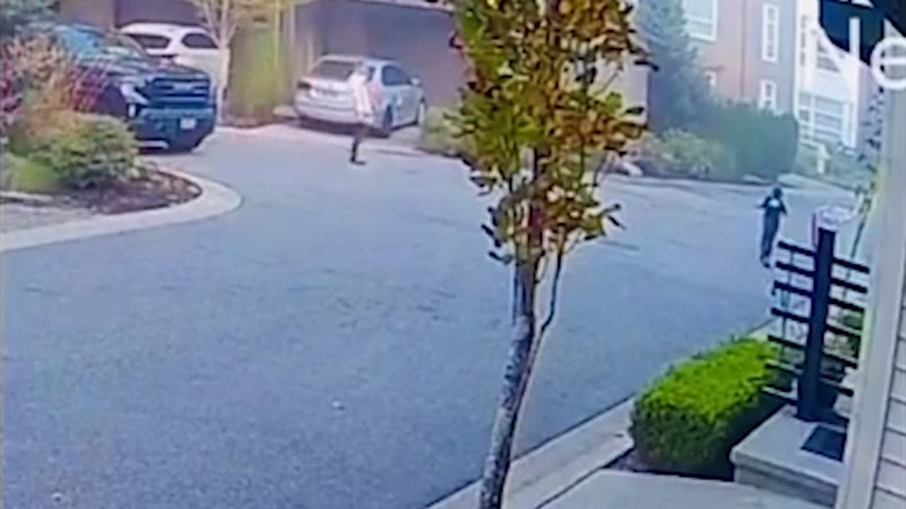 Heartstopping moment black bear stalks a child