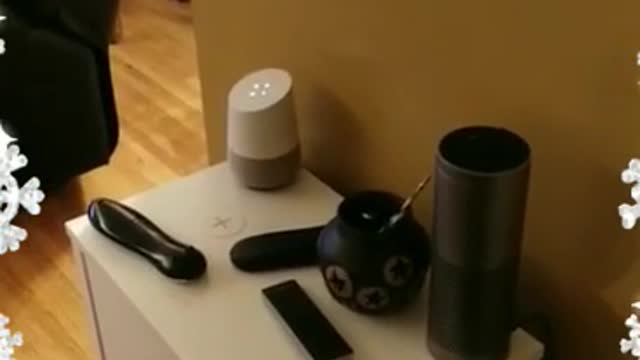 Google Doesn't Like Alexa