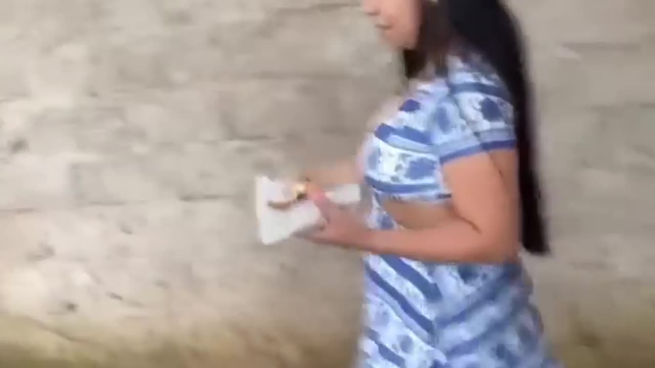 The end 😂😂😂 #viral #shorts #funny #fails #laughcatalog