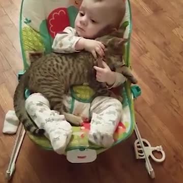Kitten and Baby loving