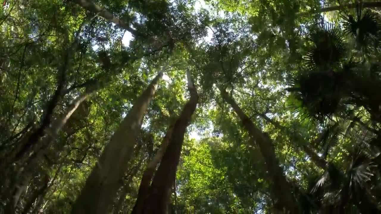 AUSTRALIA 4K - Relaxing Music Along With Beautiful Nature Videos - 4K