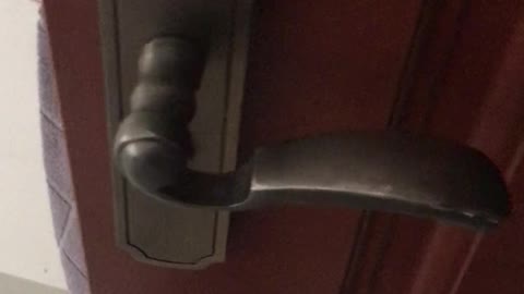 The door lock of the wooden door