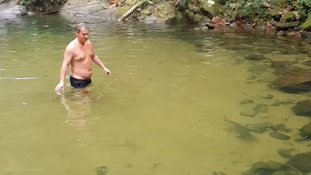 A man catches fish with his hands.