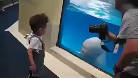 Funny babies makes you laugh