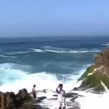 This is the stupidest thing ever