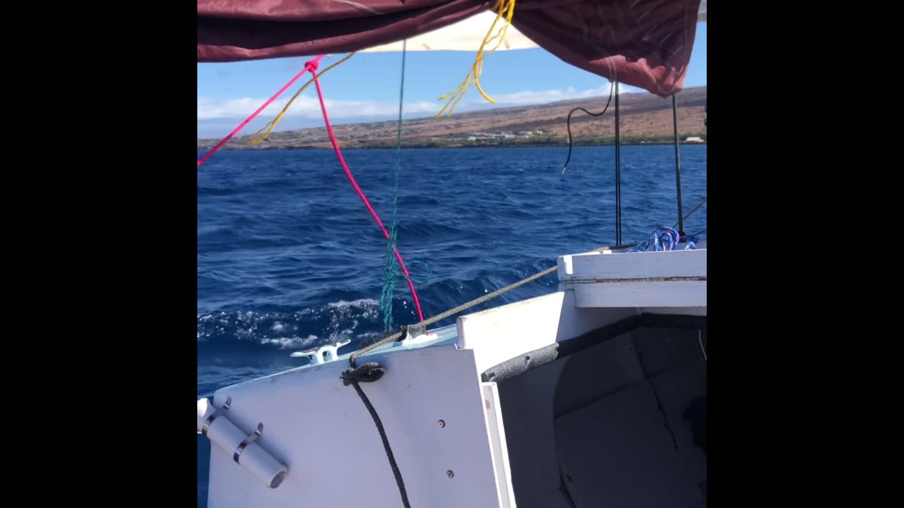 Sailing off Kona side