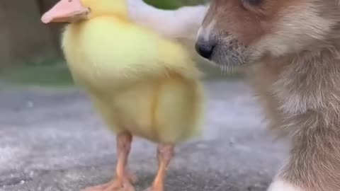 Friends ship