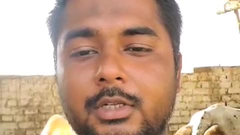 Bill Farm wala